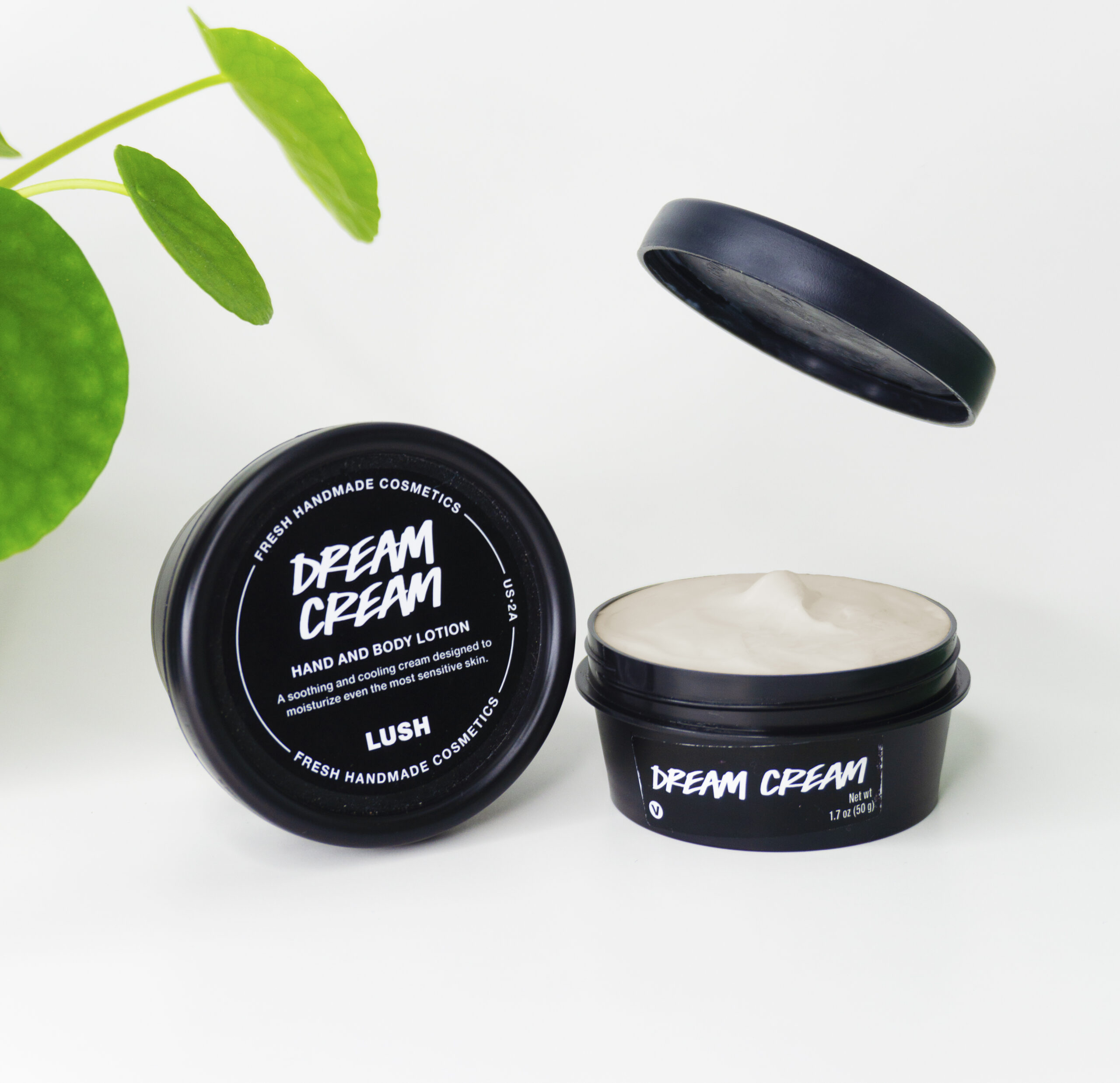 lush dream cream product photo